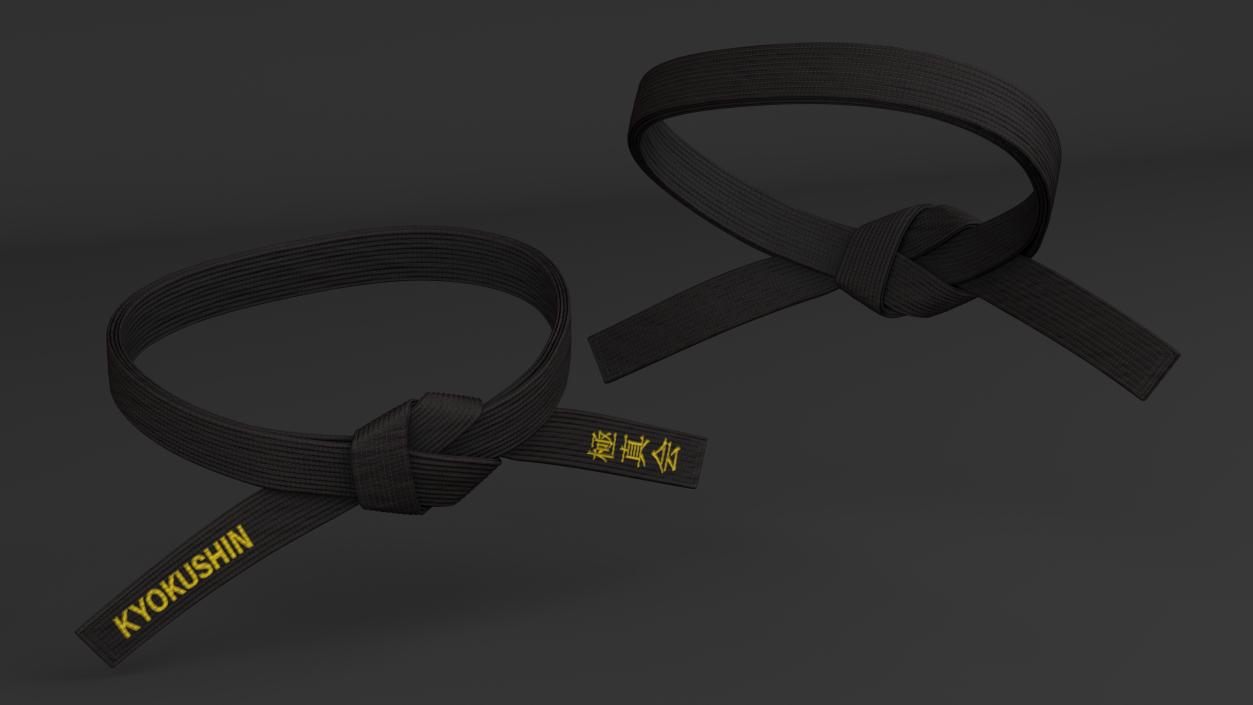 3D model Kyokushin Black Waist Obi Belt