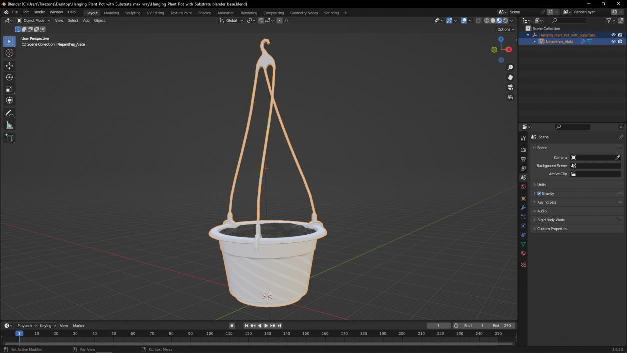 Hanging Plant Pot with Substrate 3D