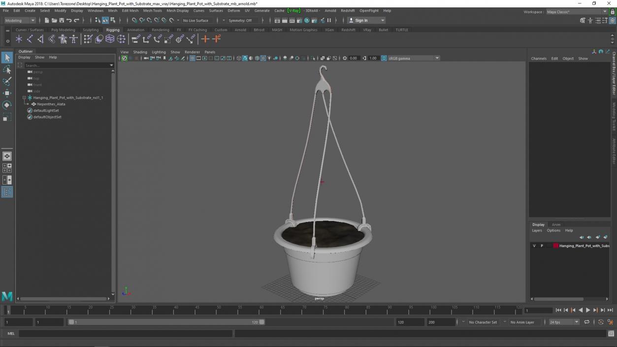 Hanging Plant Pot with Substrate 3D