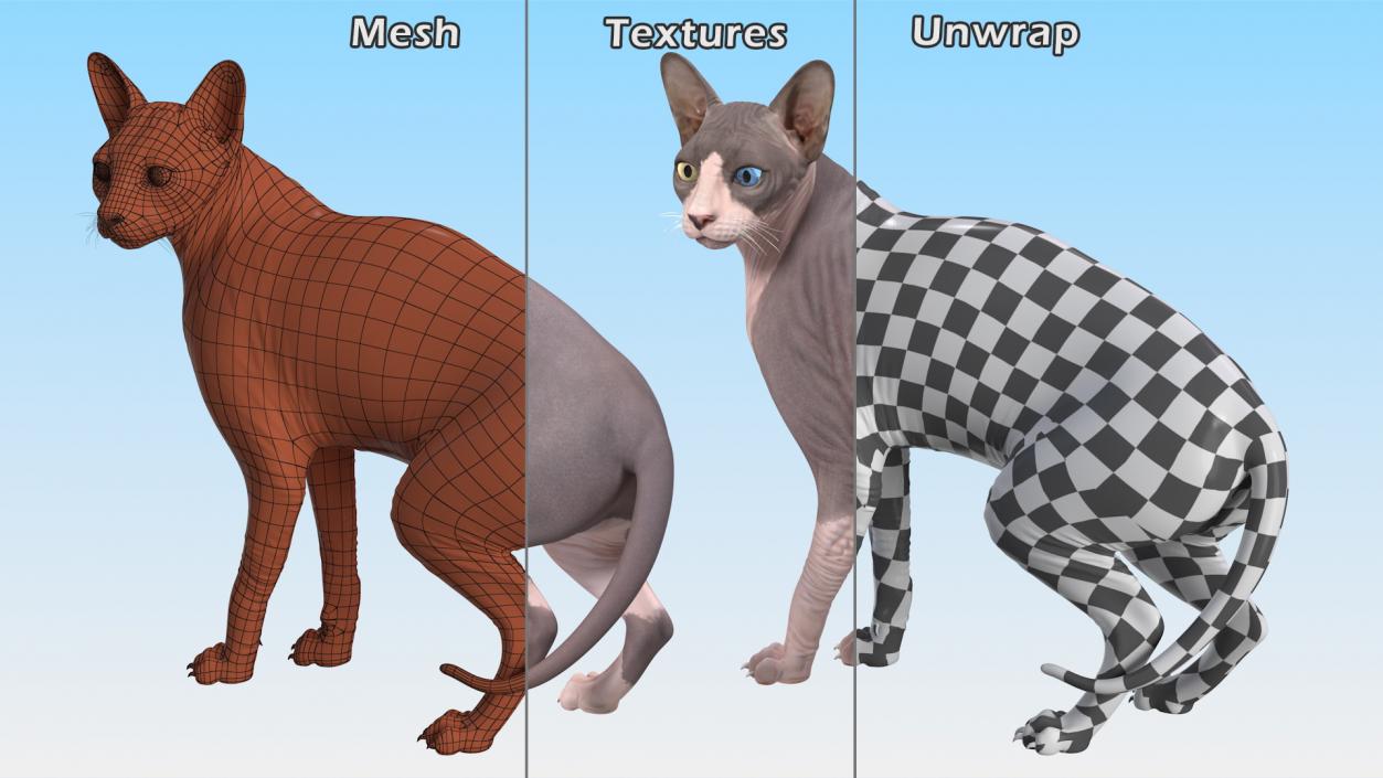 3D Sphynx Cat with Cat Scratching Post Collection