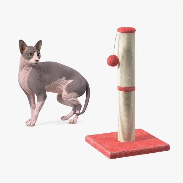 3D Sphynx Cat with Cat Scratching Post Collection