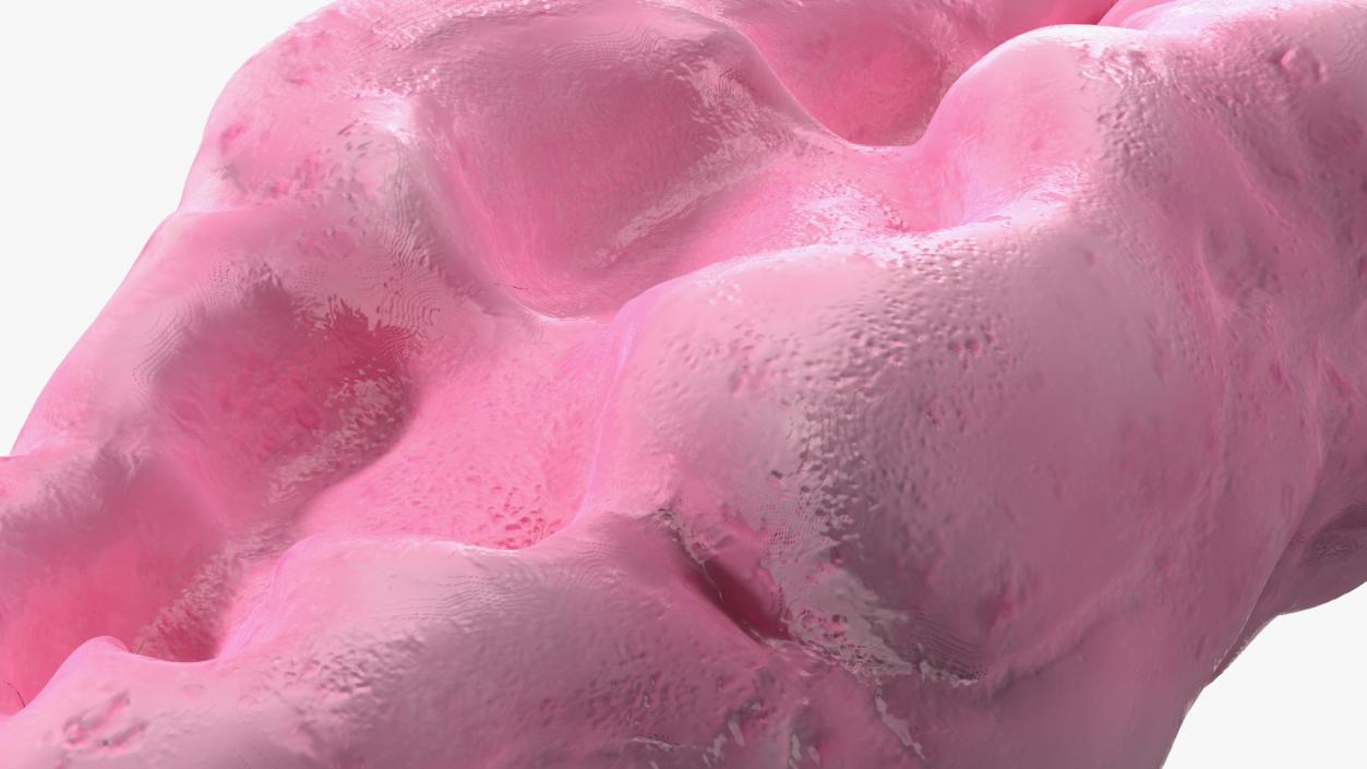 Pink Chewed Bubble Gum with Teeth Marks 3D model