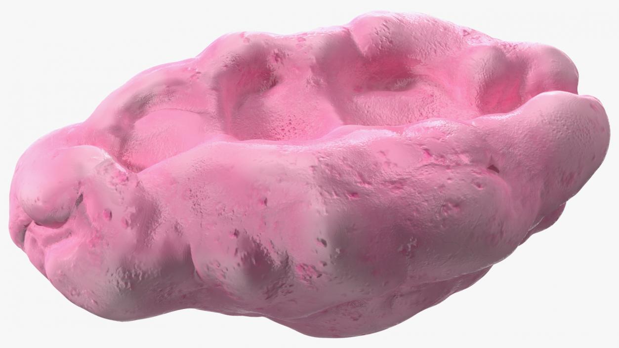 Pink Chewed Bubble Gum with Teeth Marks 3D model