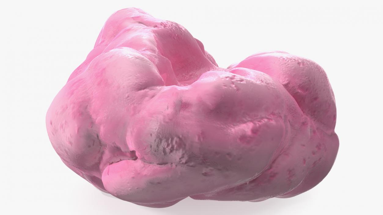 Pink Chewed Bubble Gum with Teeth Marks 3D model