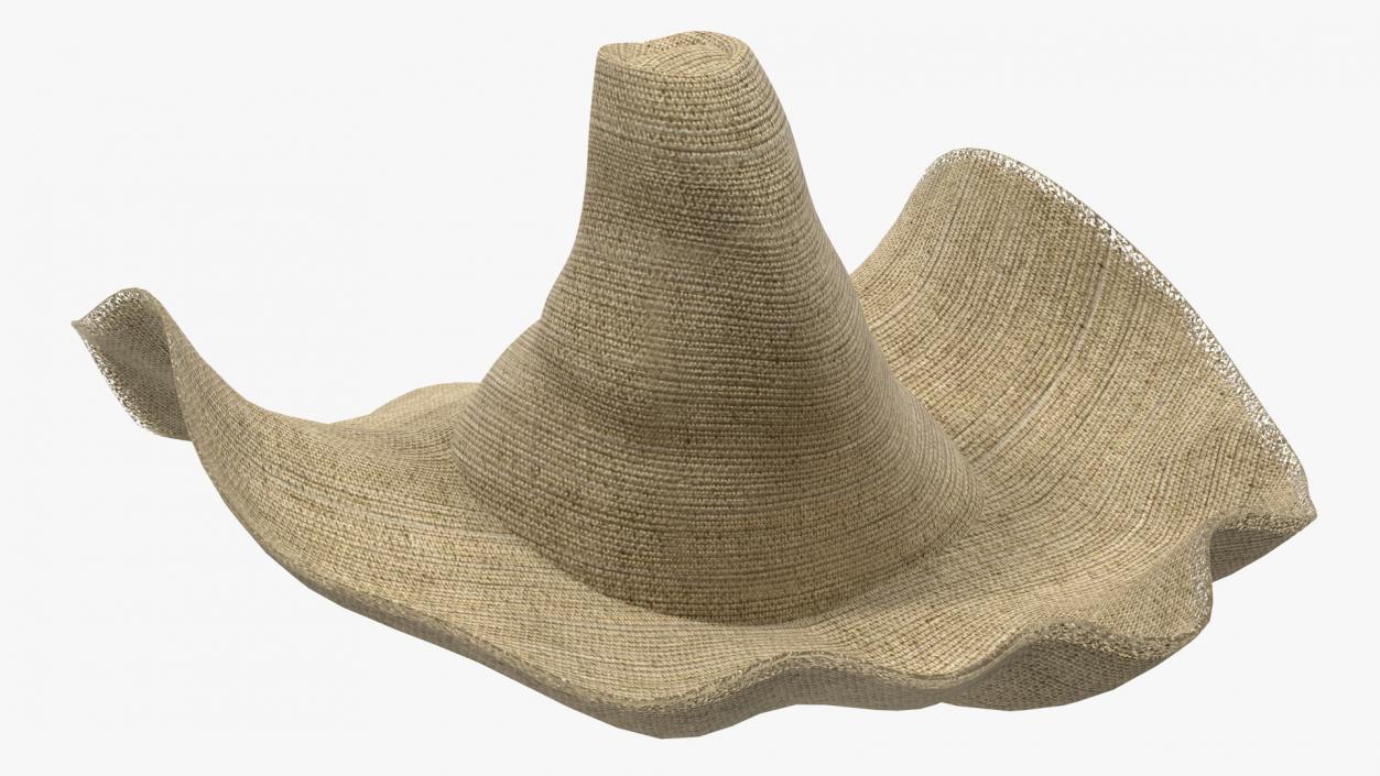 3D Straw Hats Collection 3 model