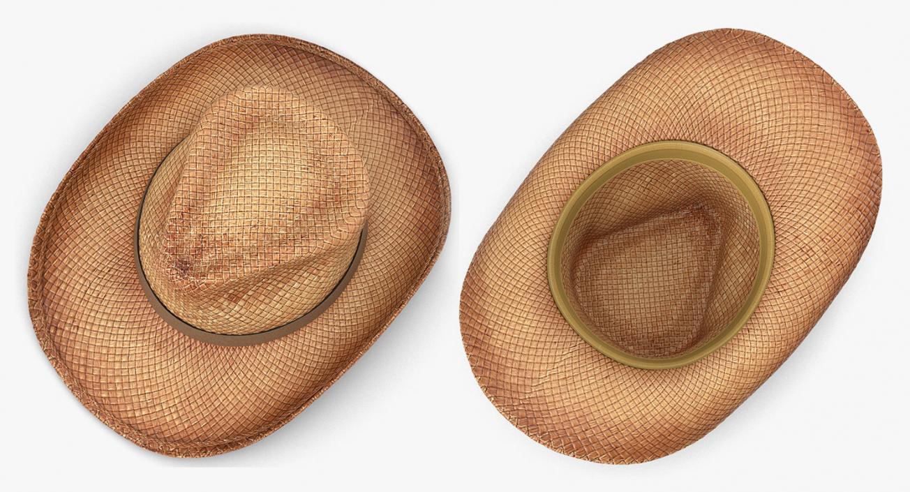 3D Straw Hats Collection 3 model