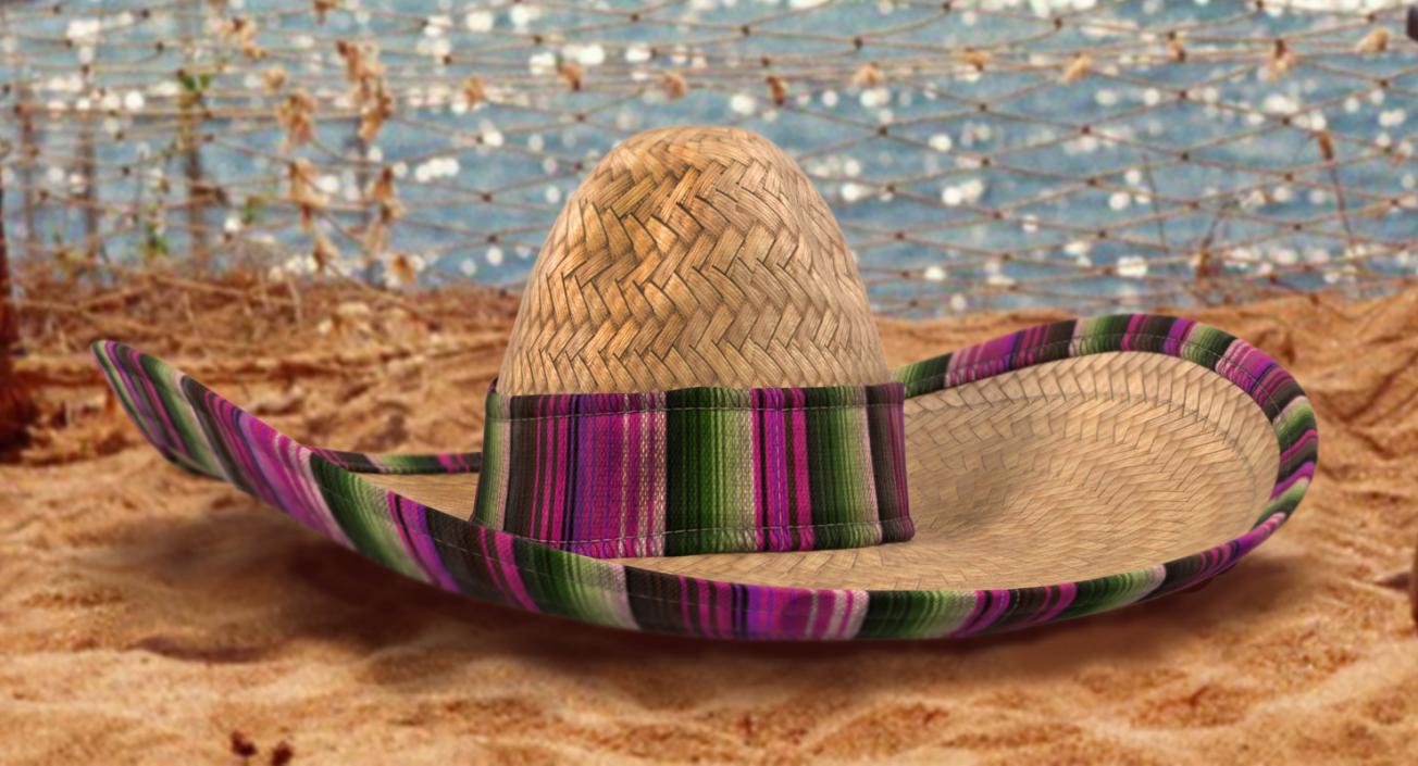 3D Straw Hats Collection 3 model