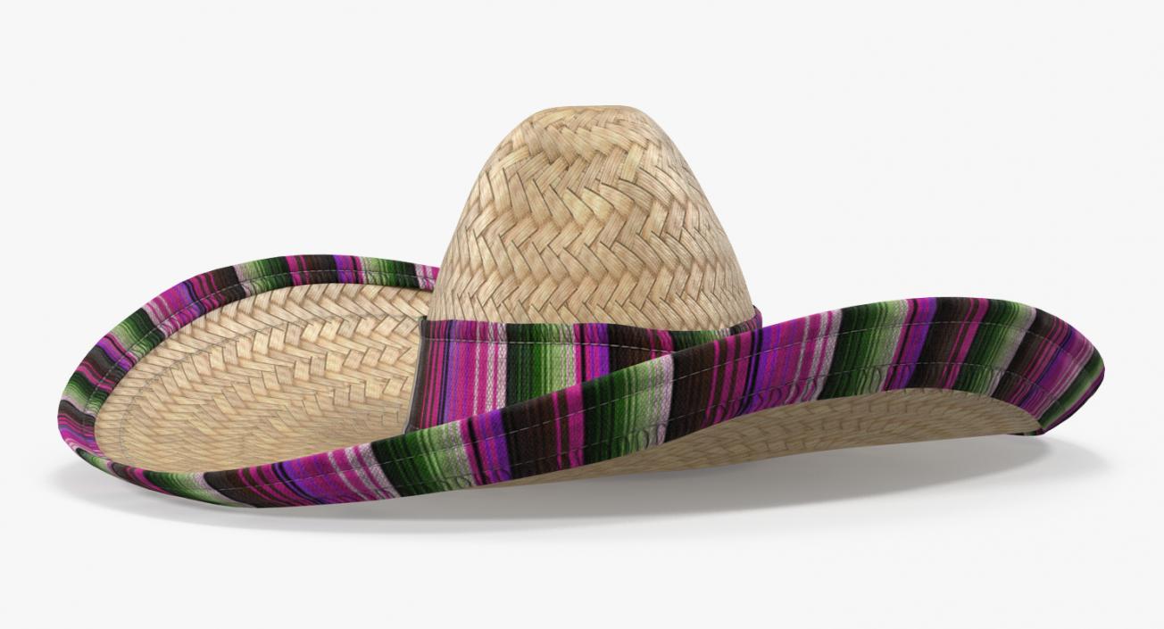 3D Straw Hats Collection 3 model