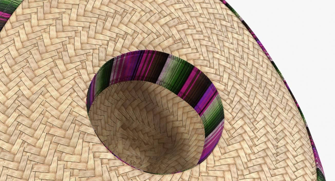 3D Straw Hats Collection 3 model