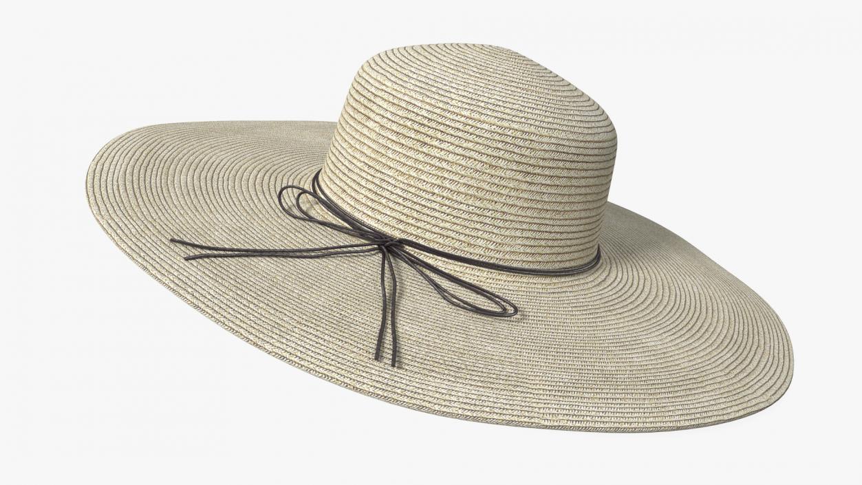 3D Straw Hats Collection 3 model