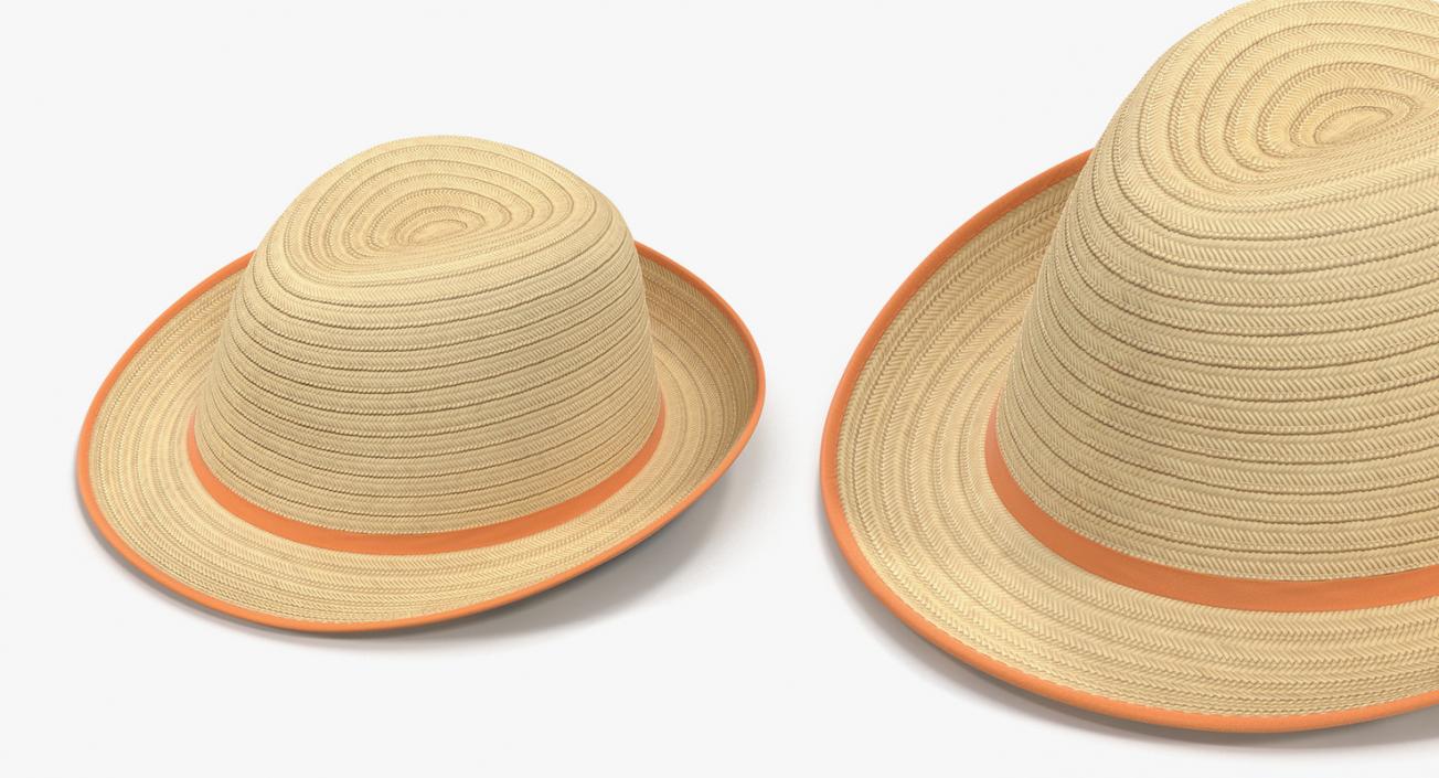 3D Straw Hats Collection 3 model