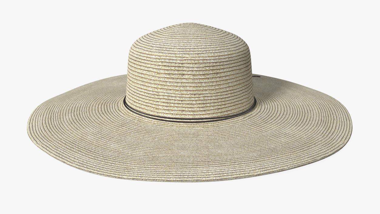 3D Straw Hats Collection 3 model