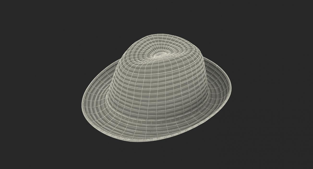 3D Straw Hats Collection 3 model