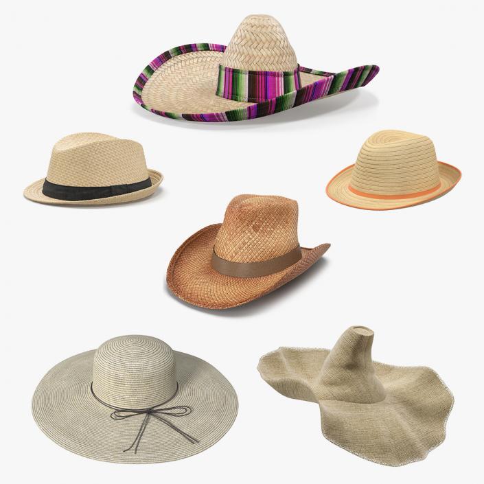 3D Straw Hats Collection 3 model