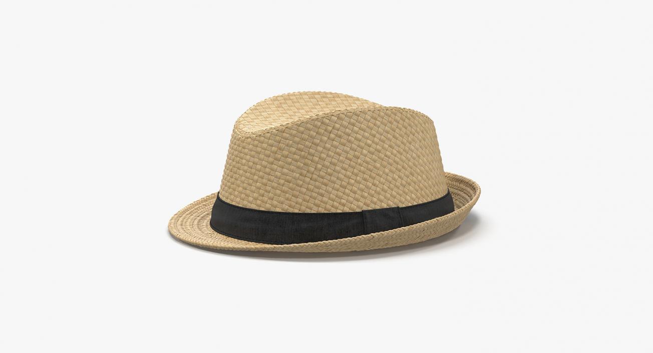 3D Straw Hats Collection 3 model