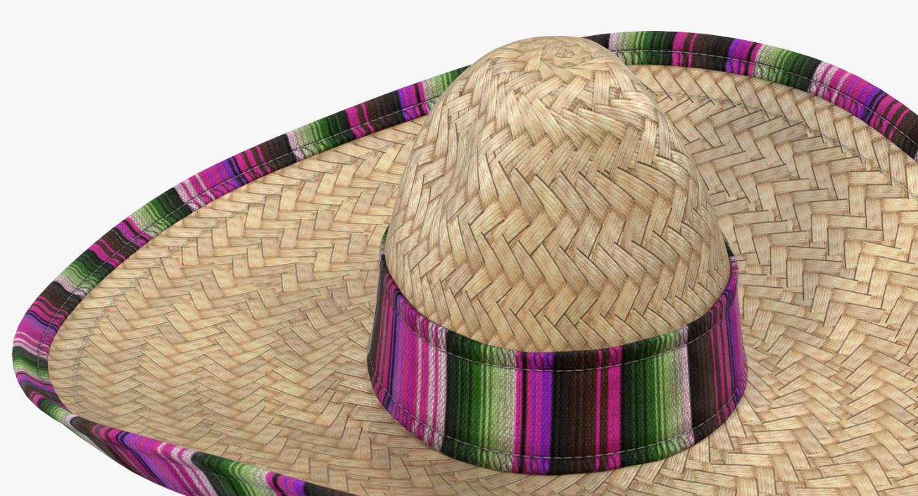 3D Straw Hats Collection 3 model