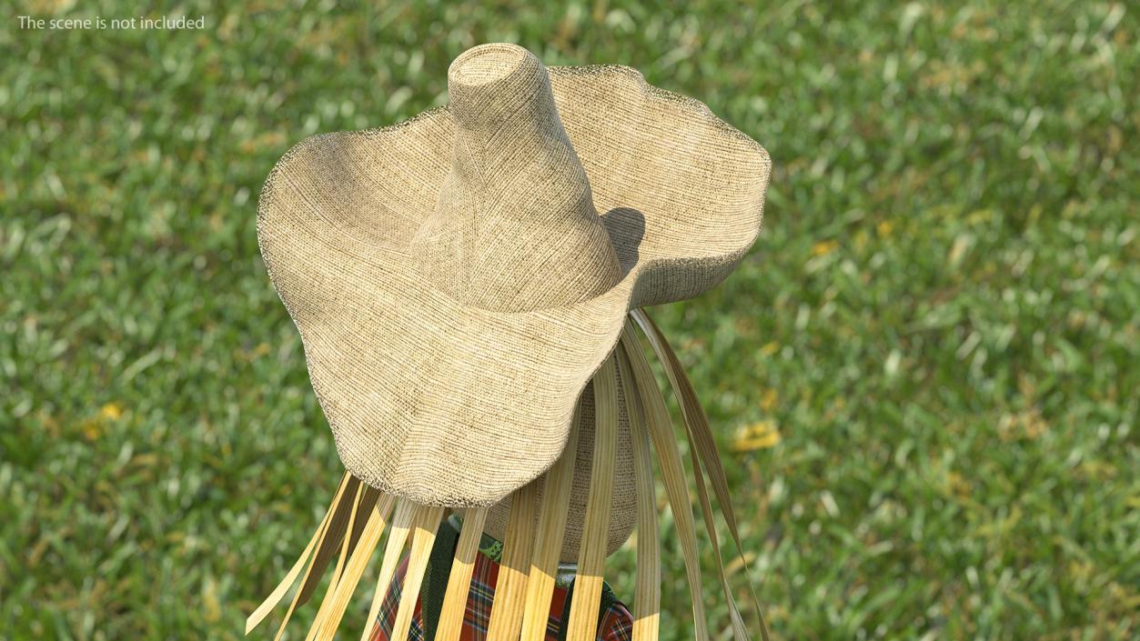 3D Straw Hats Collection 3 model