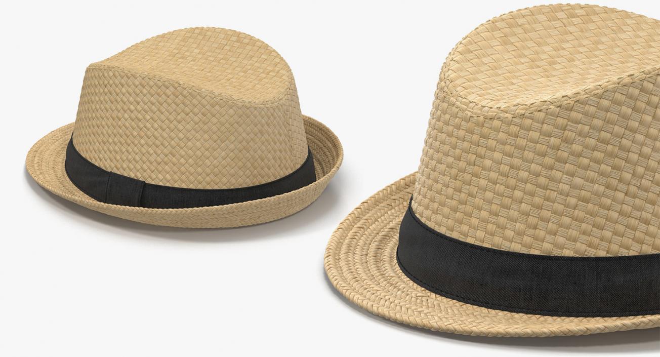 3D Straw Hats Collection 3 model