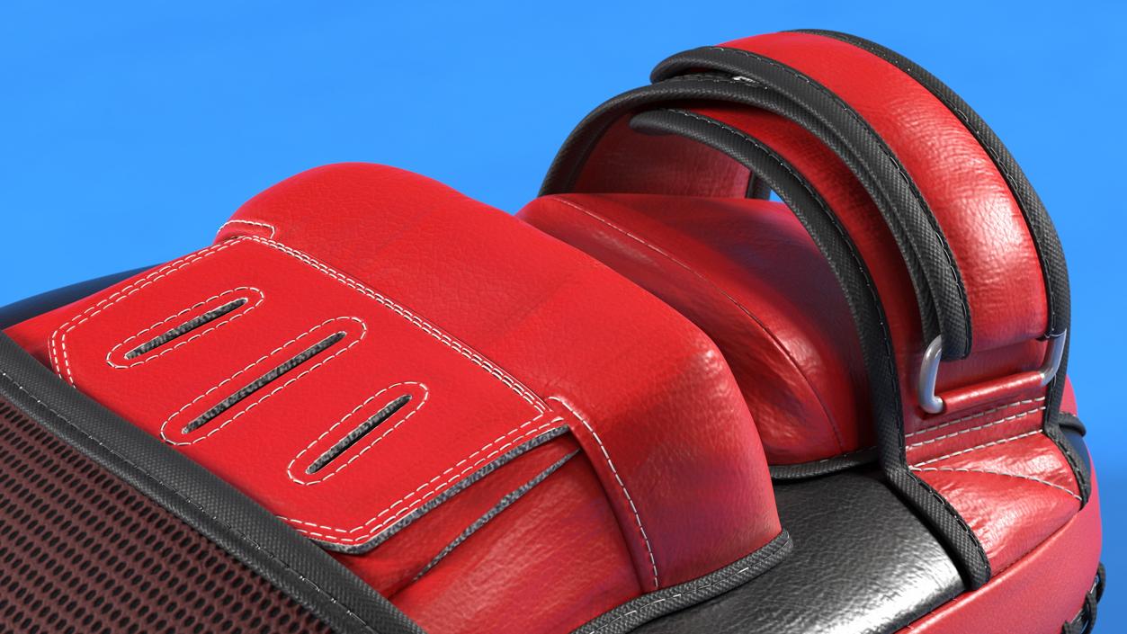 Leather Boxing Paws 3D model