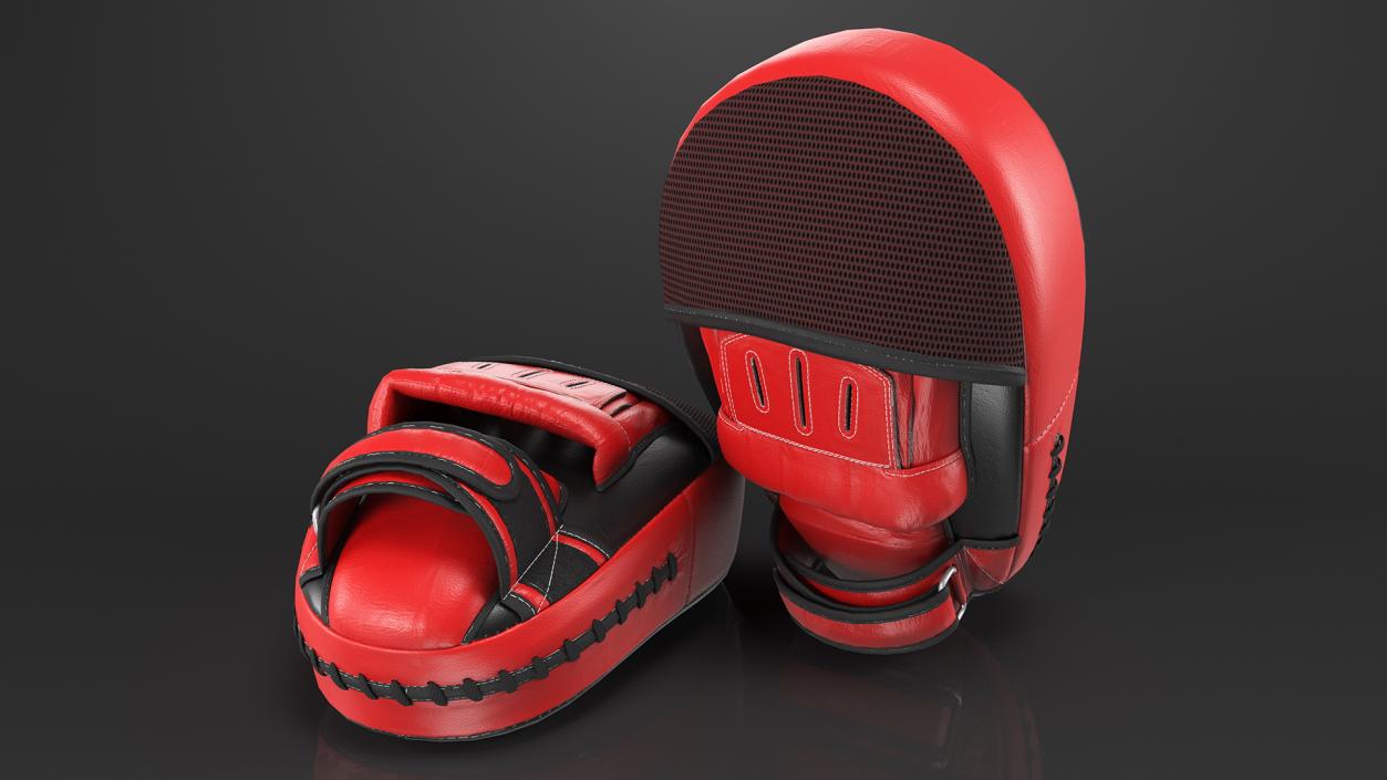 Leather Boxing Paws 3D model