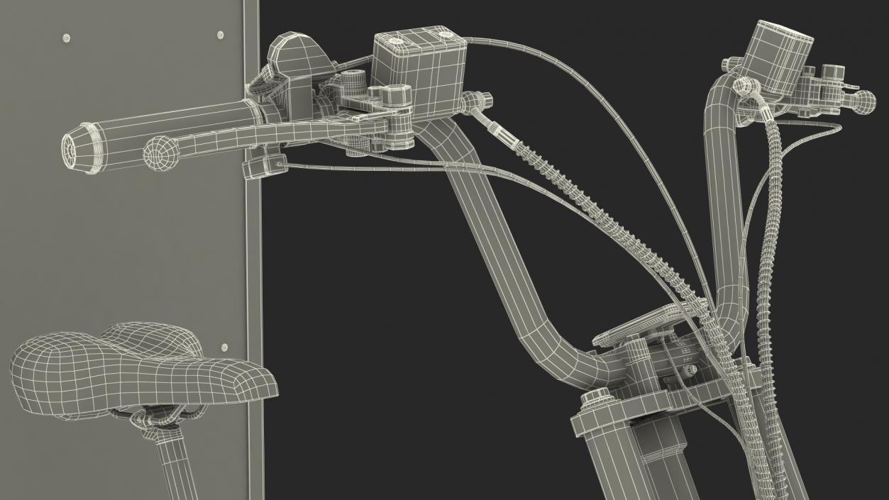 3D Rad Power Bike RadBurro with Cargo Box model