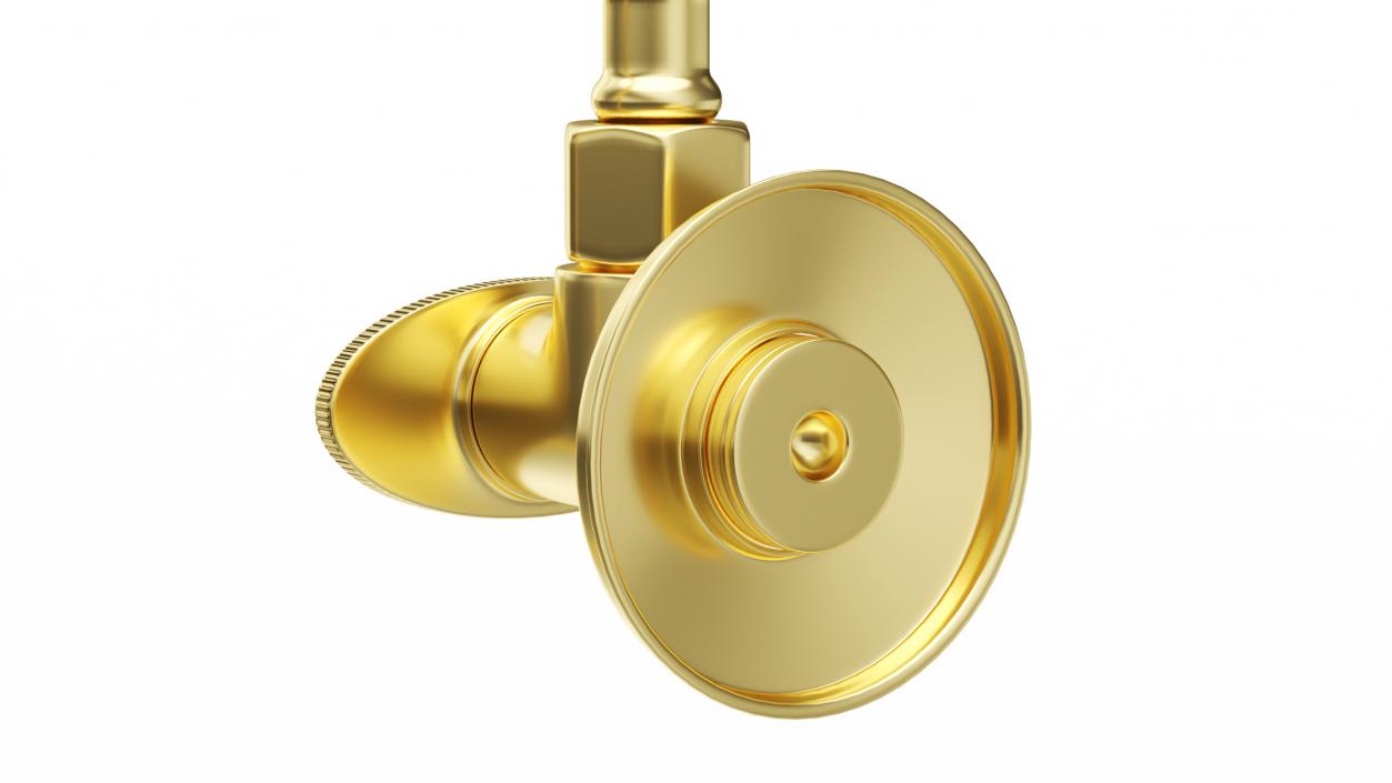 Toilet Tank Mounted Gold Handheld Bidet Sprayer 3D