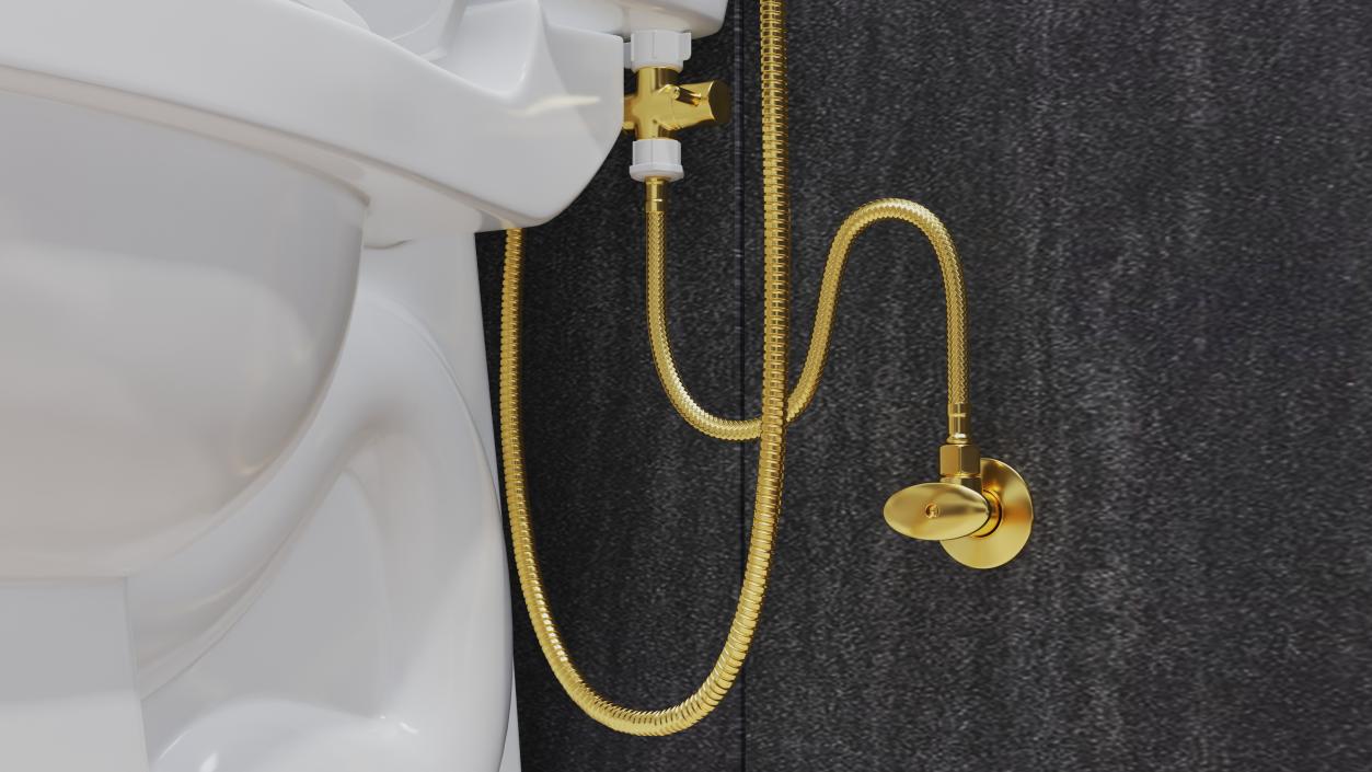 Toilet Tank Mounted Gold Handheld Bidet Sprayer 3D