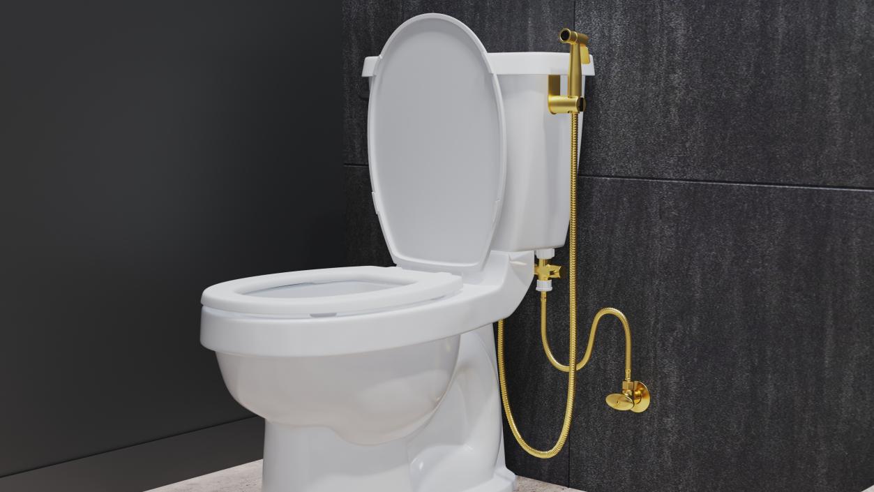 Toilet Tank Mounted Gold Handheld Bidet Sprayer 3D