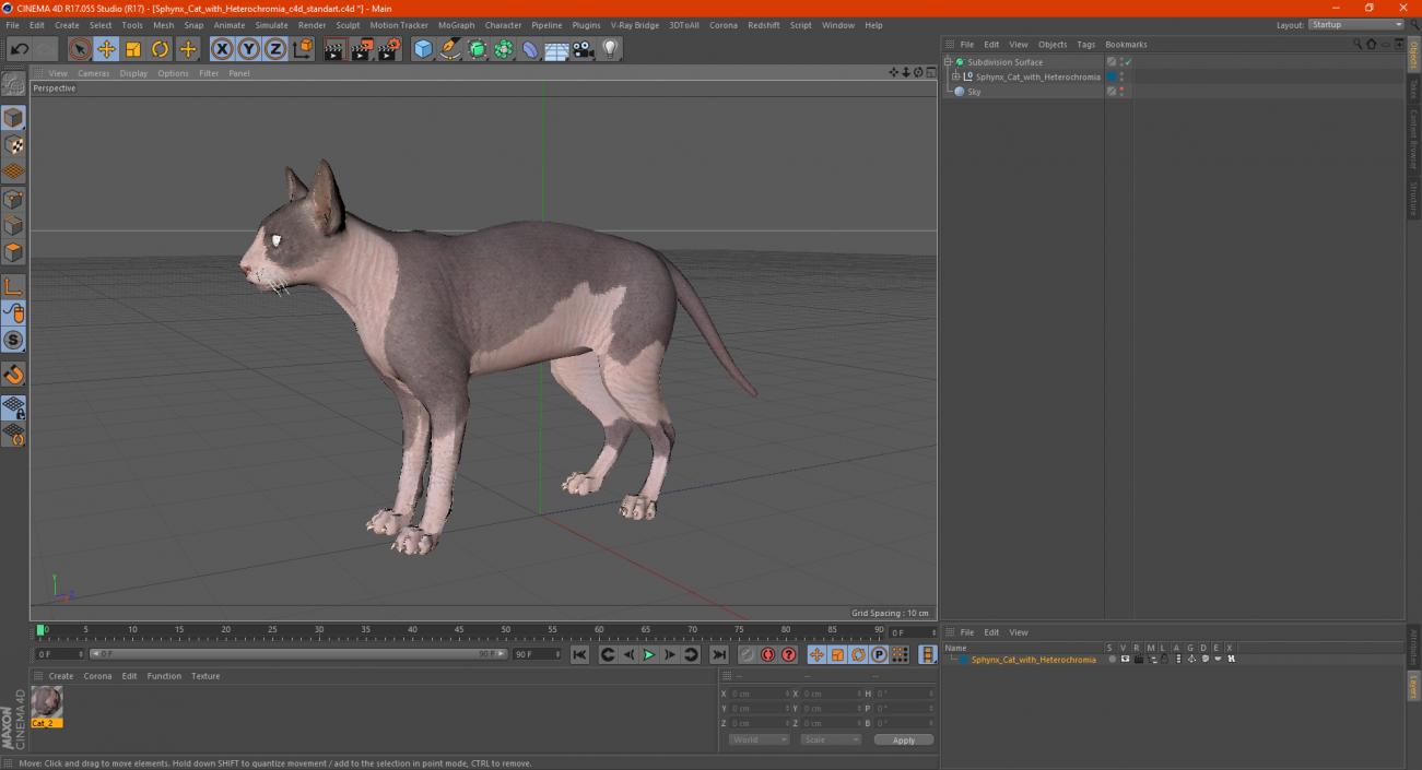 Sphynx Cat with Heterochromia 3D model