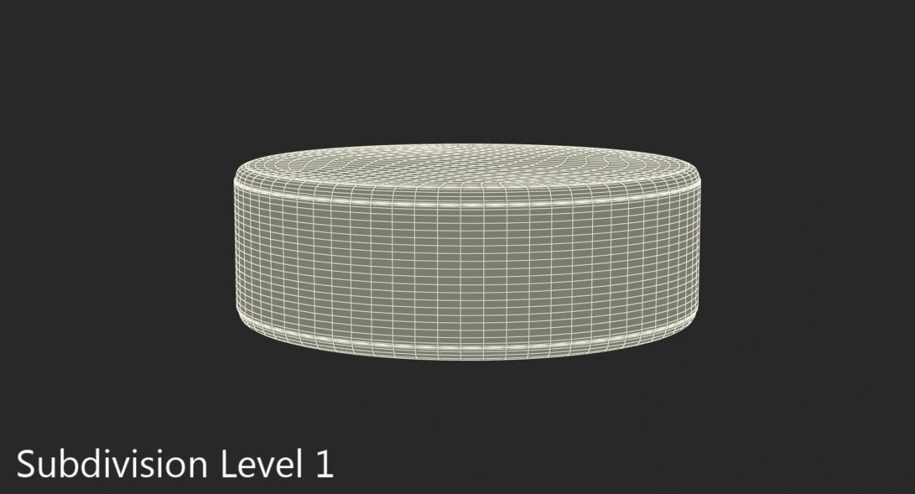 3D Classic Ice Hockey Puck model