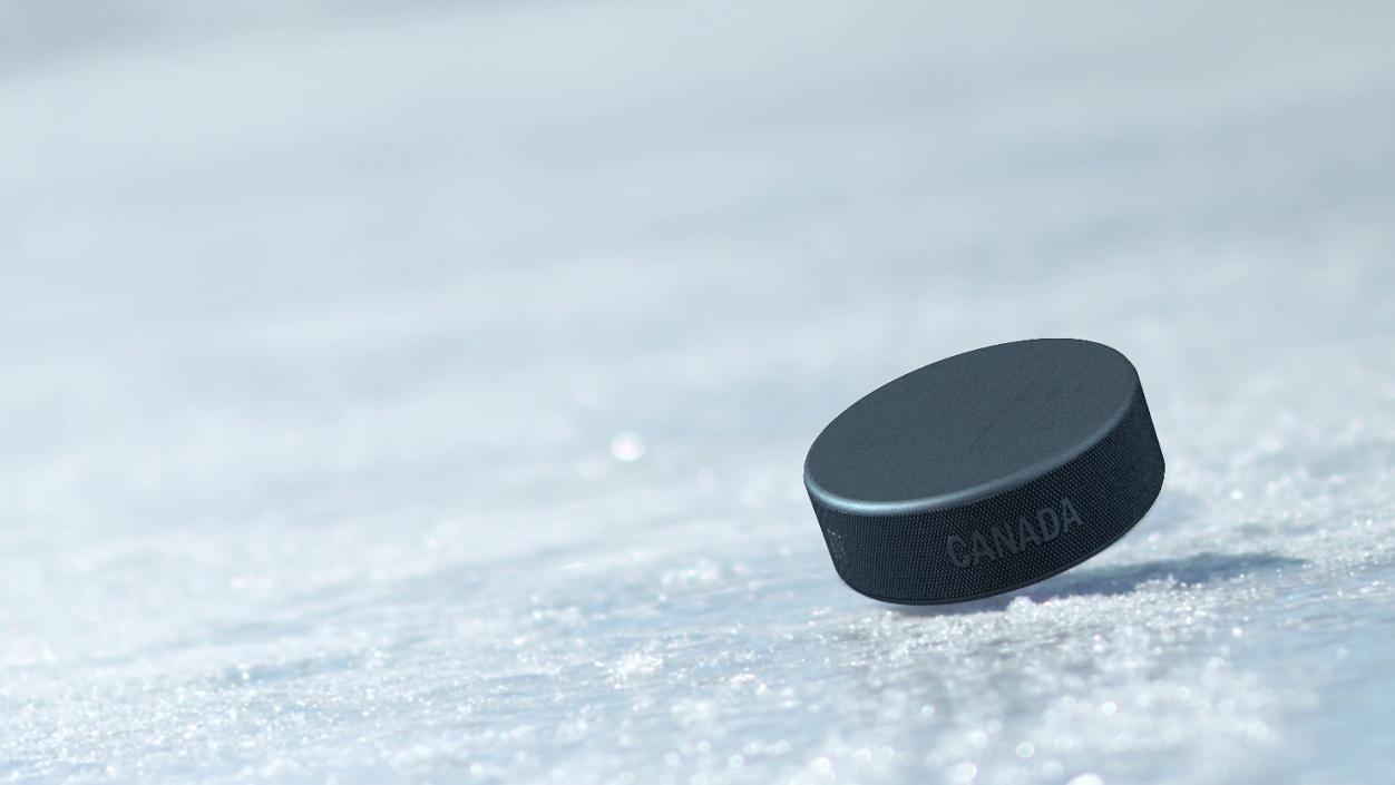 3D Classic Ice Hockey Puck model