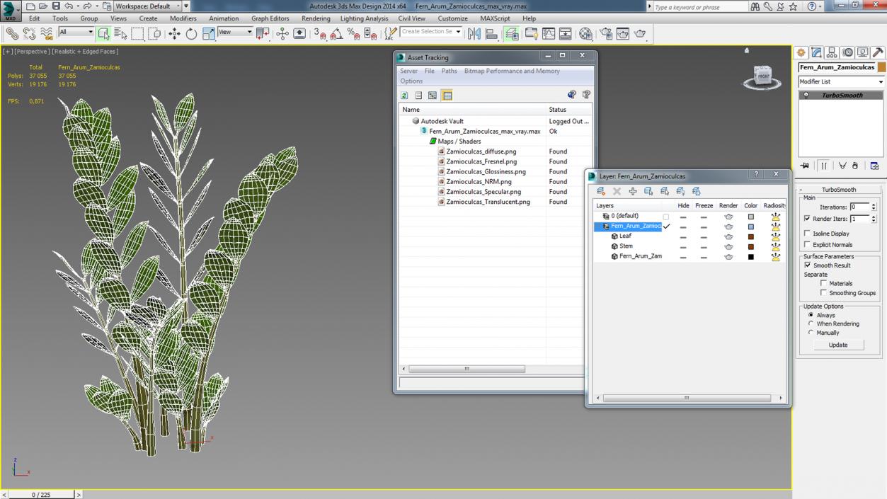 3D Fern Arum Zamioculcas