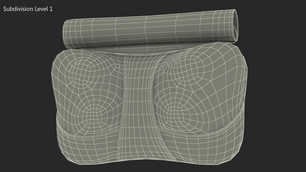 Massage Pillow Open 3D model