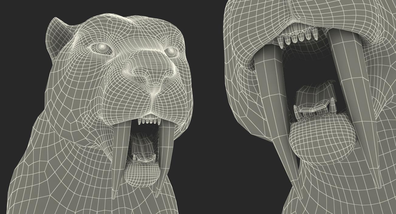 Arctic Saber Tooth Cat 3D