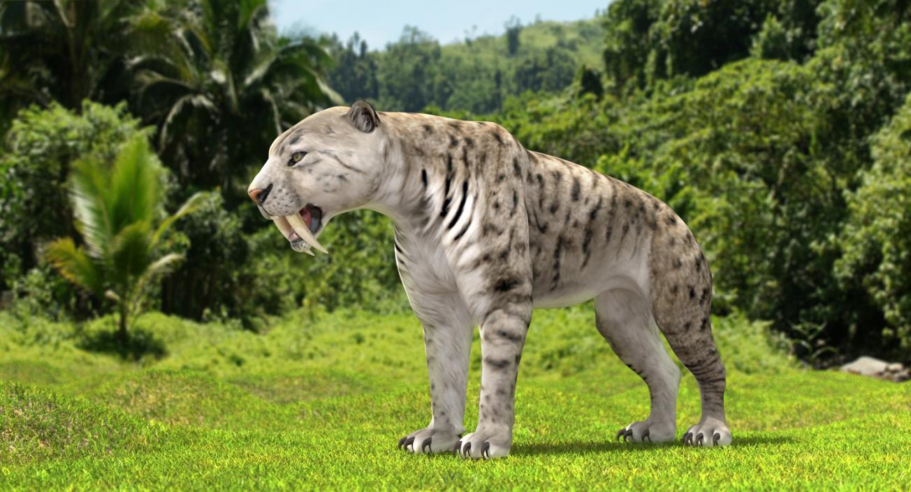 Arctic Saber Tooth Cat 3D