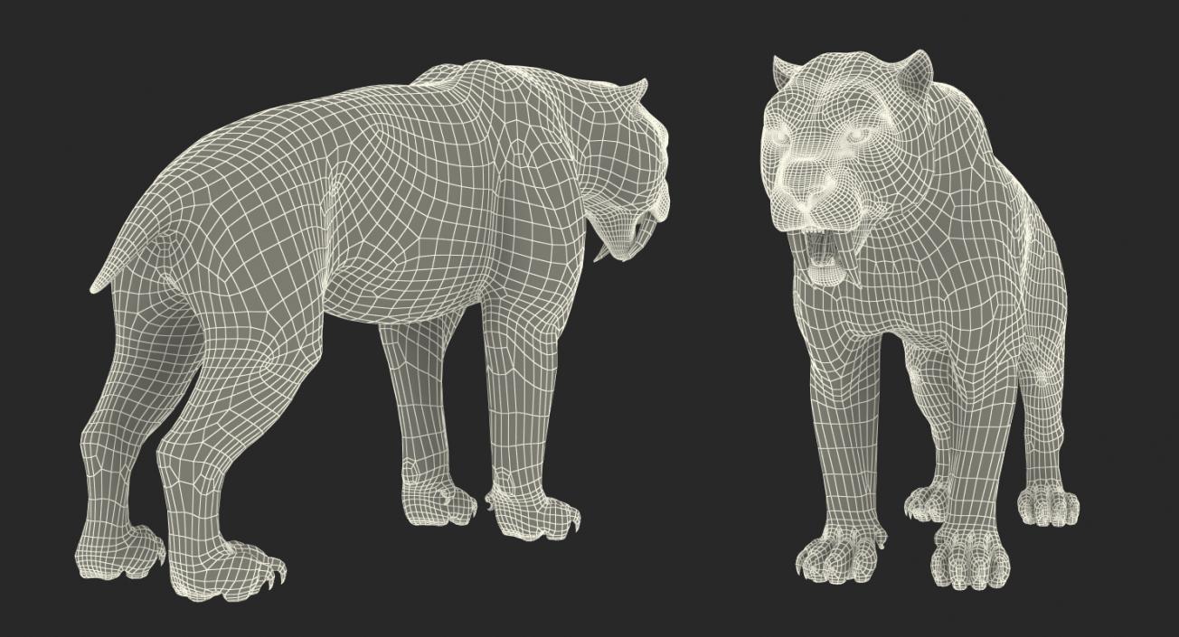 Arctic Saber Tooth Cat 3D