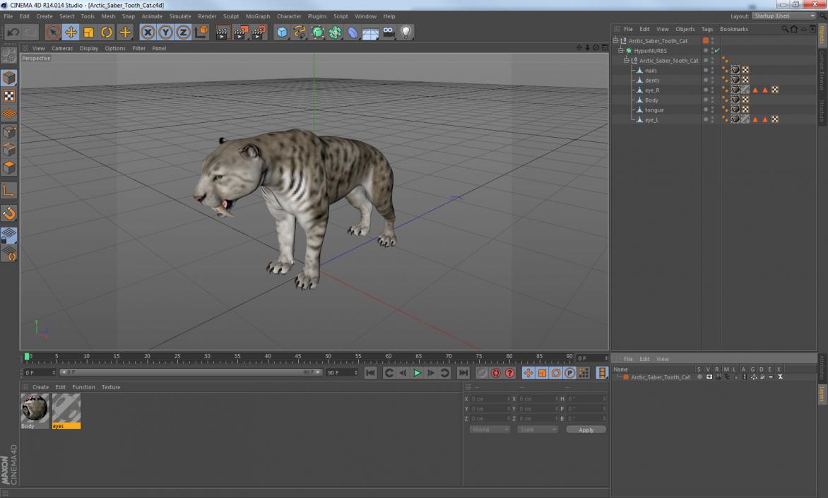 Arctic Saber Tooth Cat 3D