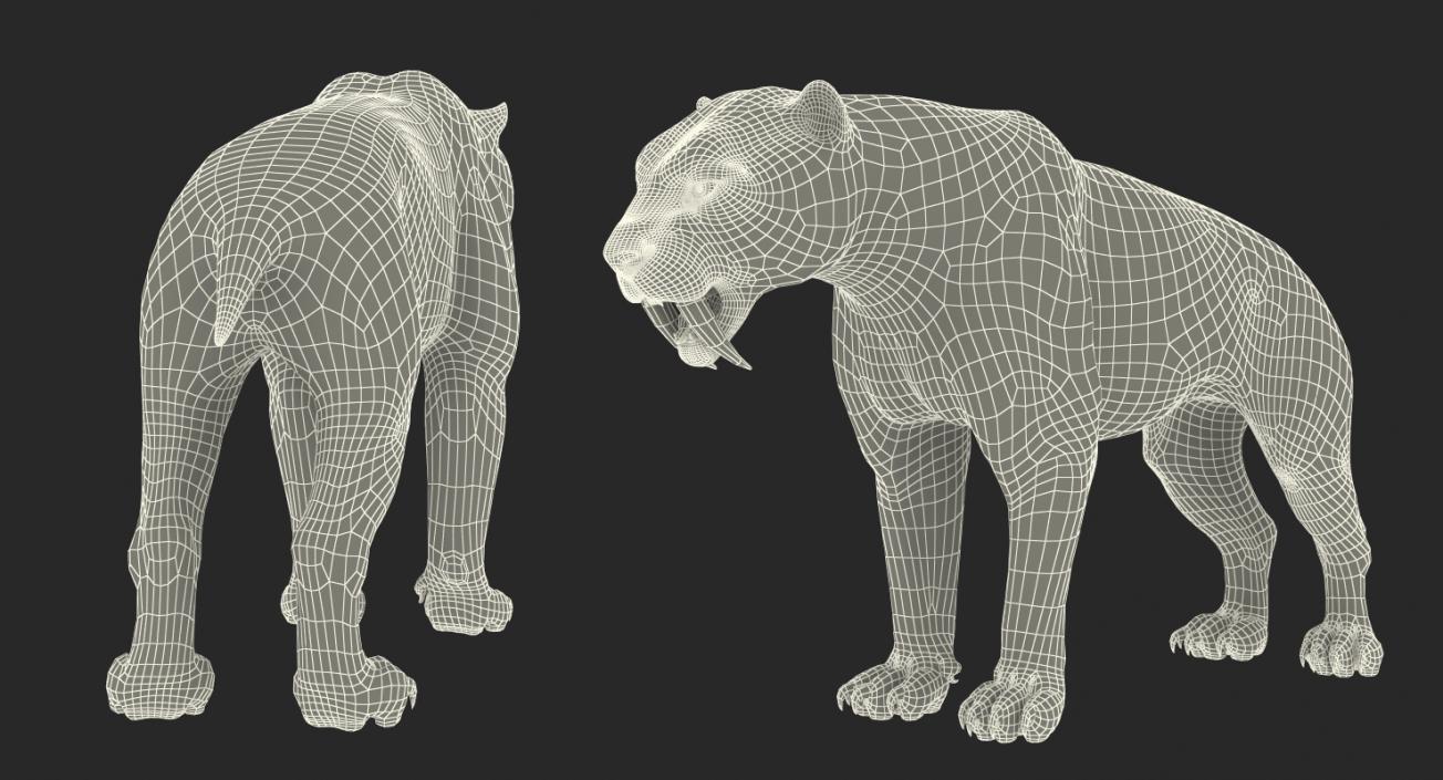 Arctic Saber Tooth Cat 3D