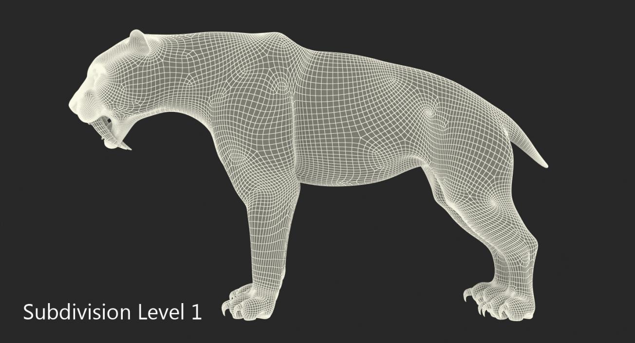 Arctic Saber Tooth Cat 3D