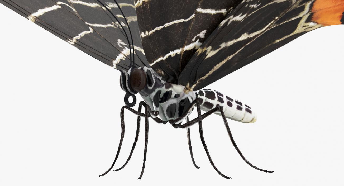 3D Swallowtail Butterfly and Caterpillar Collection model