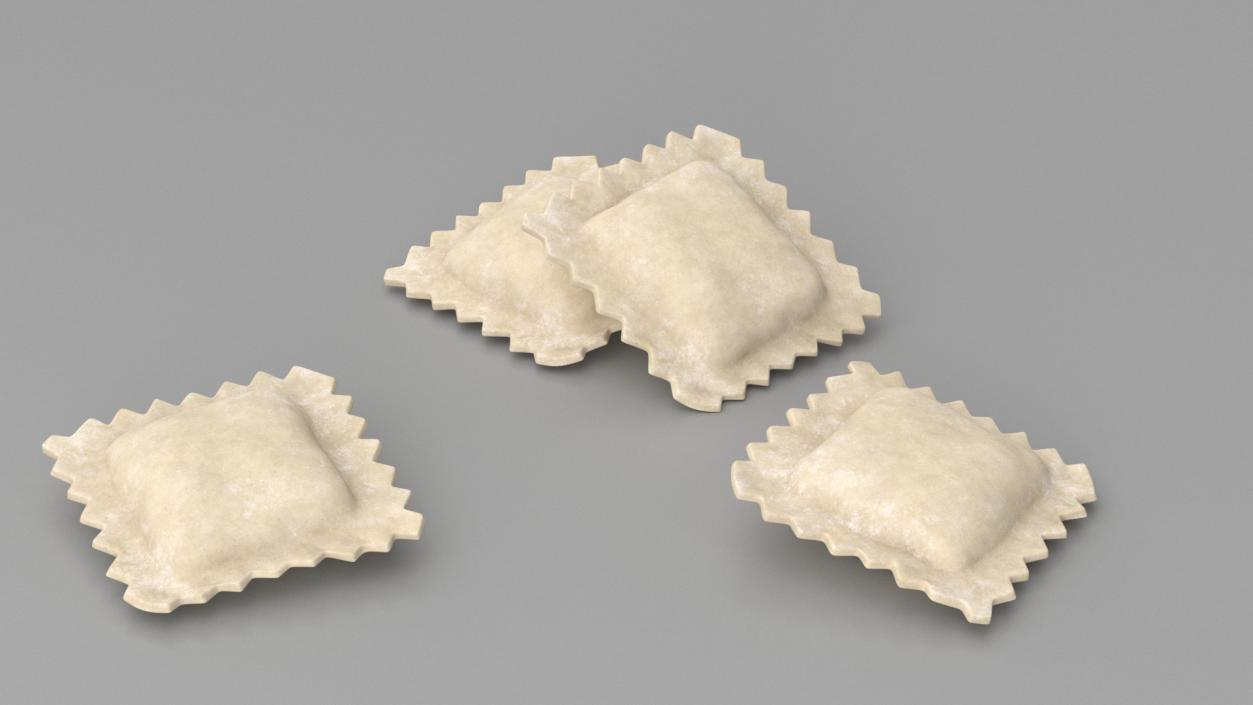 Ravioli Dumpling Raw 2 3D