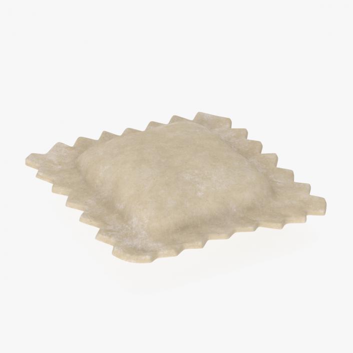 Ravioli Dumpling Raw 2 3D