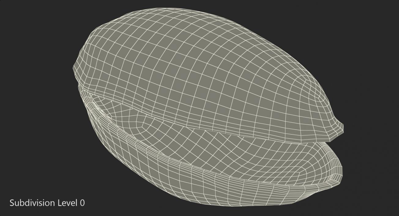 3D Pistachio Empty Shell