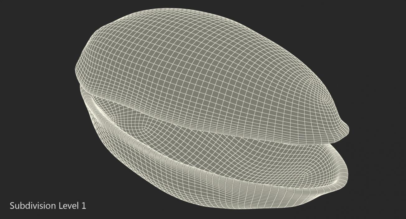 3D Pistachio Empty Shell