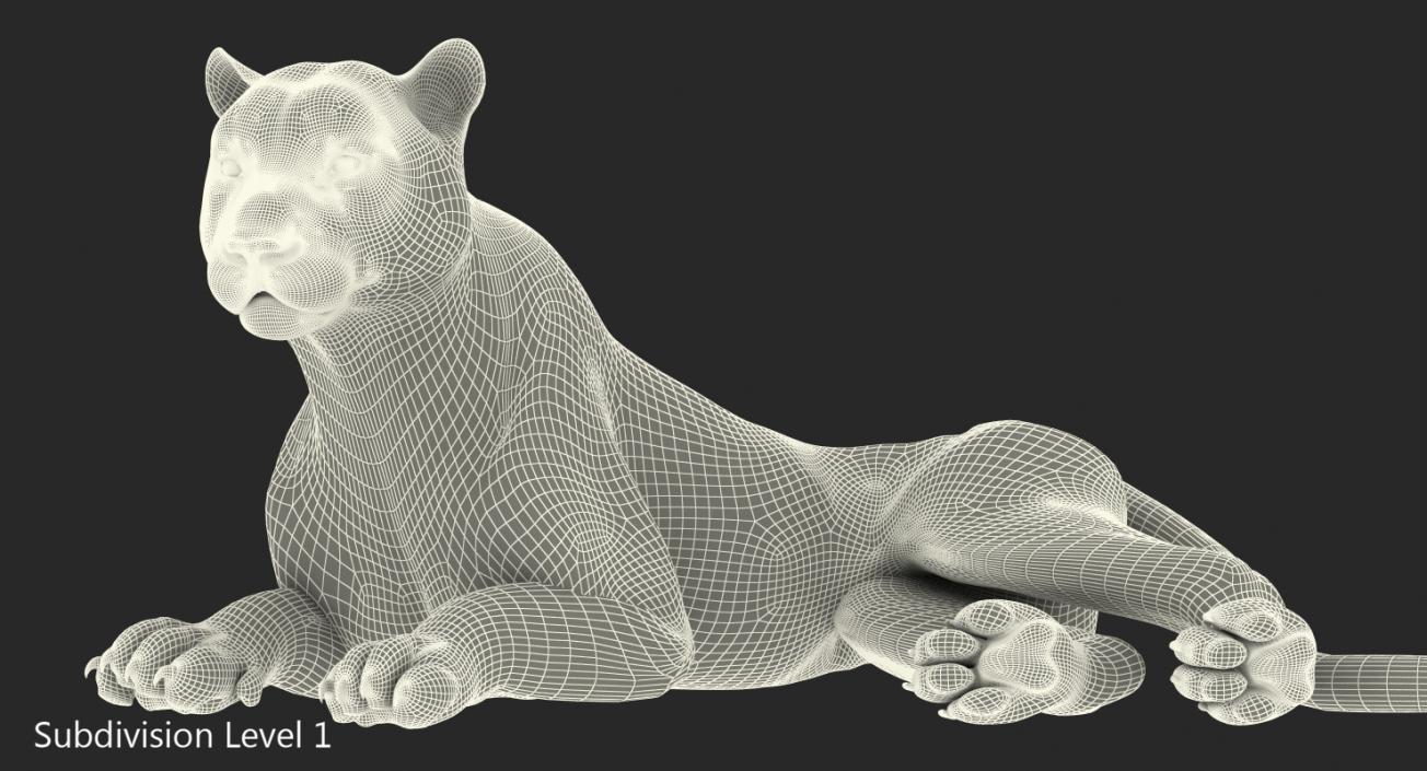 3D Lying Tiger