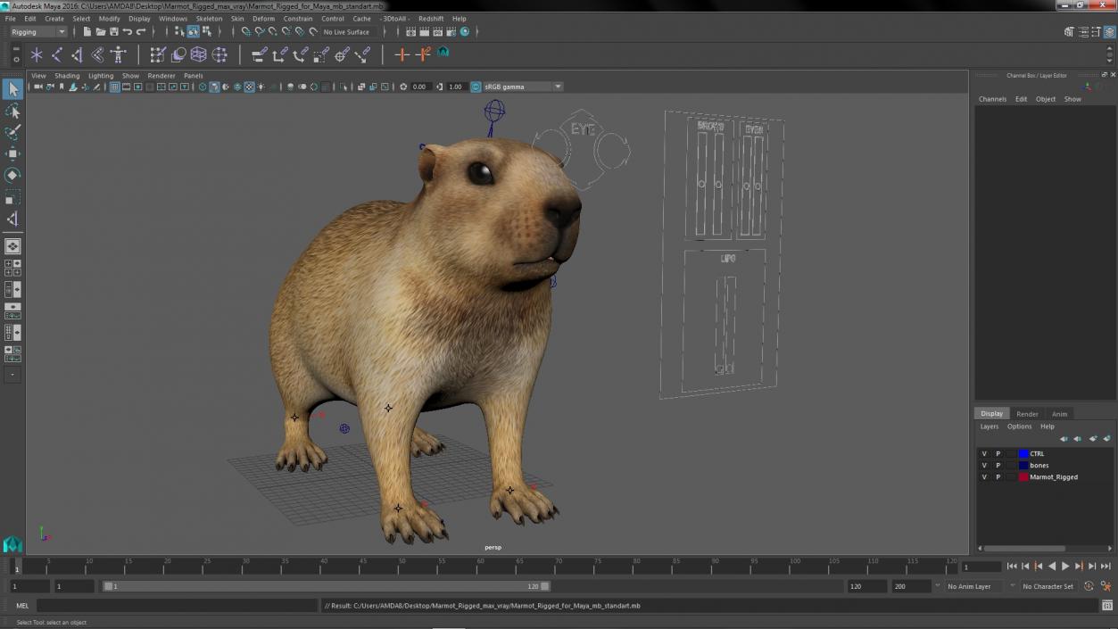 Marmot Rigged for Maya 3D