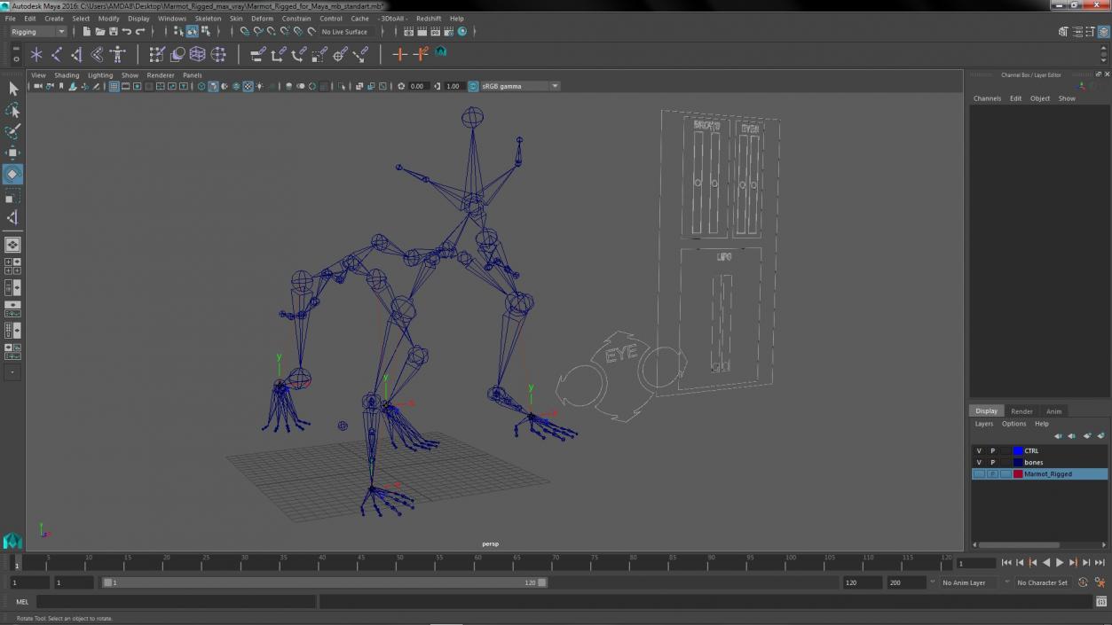 Marmot Rigged for Maya 3D