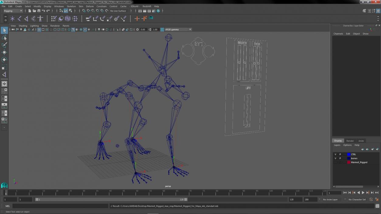 Marmot Rigged for Maya 3D