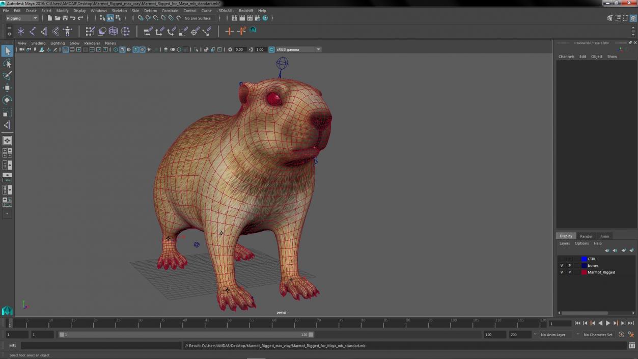 Marmot Rigged for Maya 3D