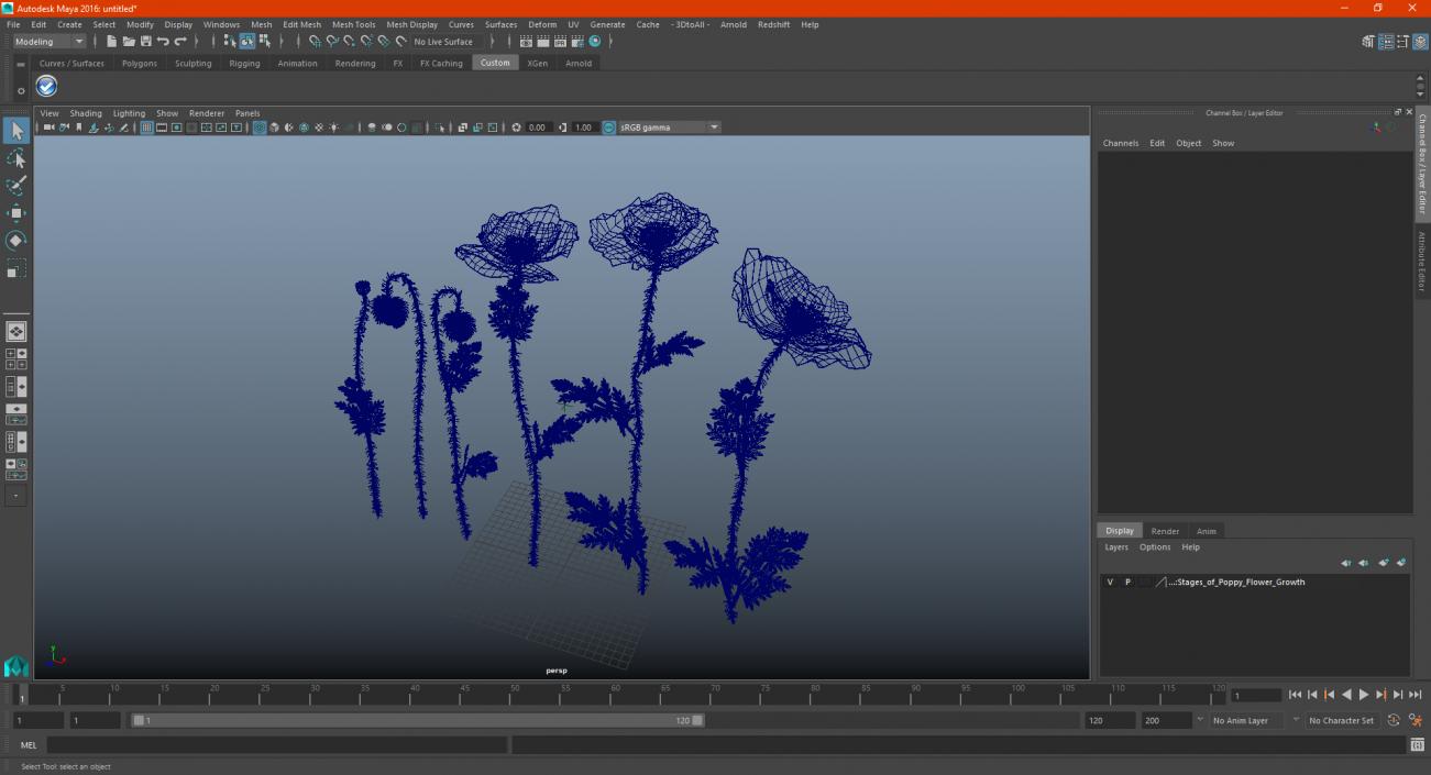 Stages of Poppy Flower Growth 3D model